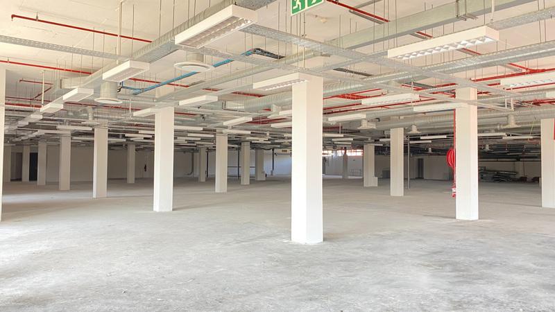 To Let commercial Property for Rent in Observatory Western Cape